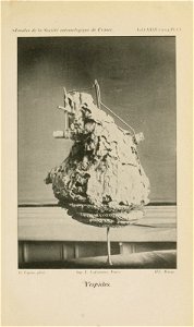 n696_w1150