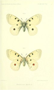 n680_w1150