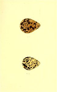 n302_w1150
