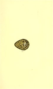 n146_w1150