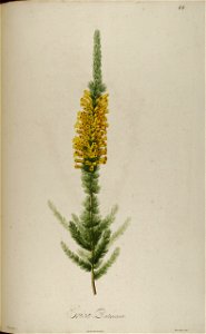 n255_w1150