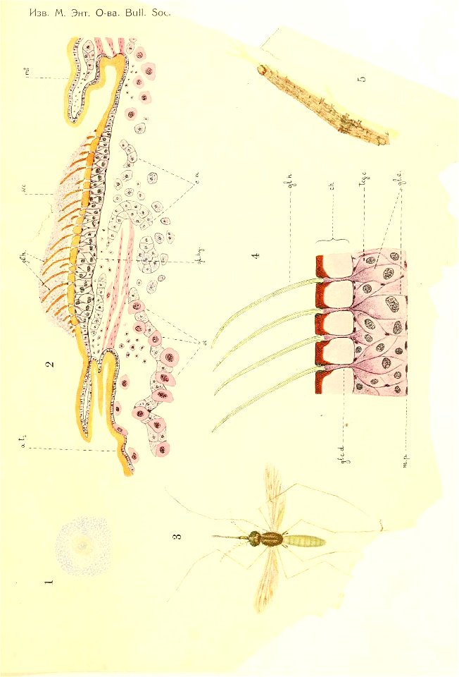 n228_w1150