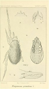 n308_w1150