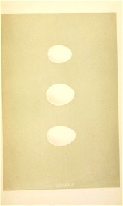 n422_w1150