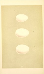 n253_w1150