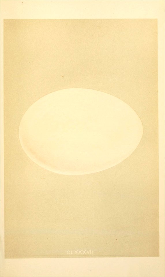 n162_w1150