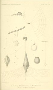 n730_w1150