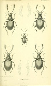 n664_w1150