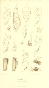 n612_w1150