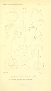 n868_w1150