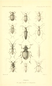 n698_w1150