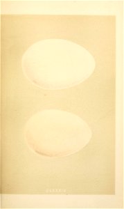 n144_w1150