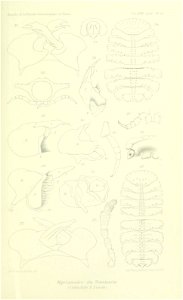 n690_w1150