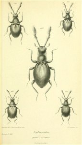 n658_w1150