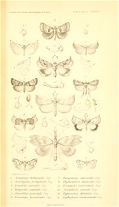 n978_w1150