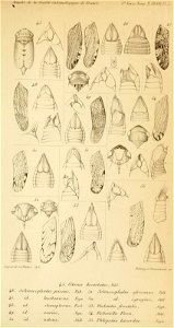 n688_w1150