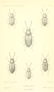 n938_w1150