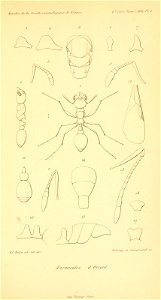 n838_w1150