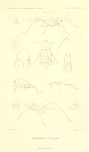 n934_w1150