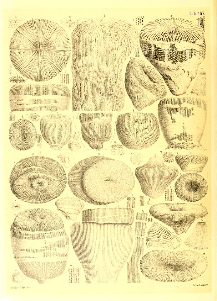 n43_w1150