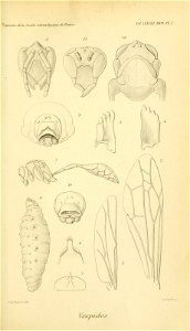n622_w1150