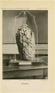 n694_w1150