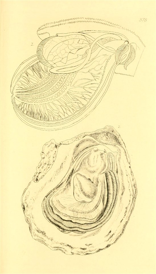 n194_w1150