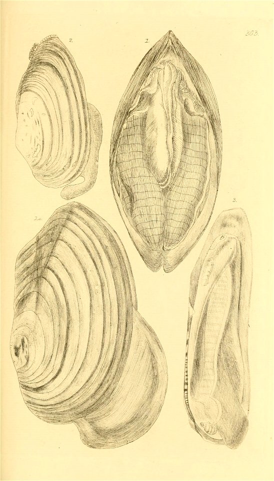 n164_w1150