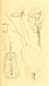 n74_w1150