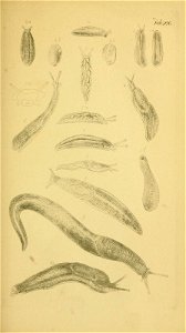 n168_w1150