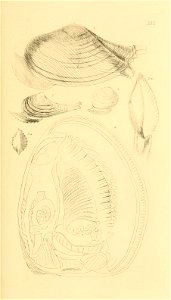 n102_w1150
