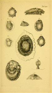 n166_w1150