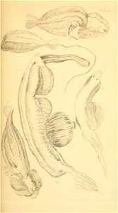 n204_w1150