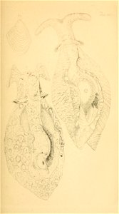 n174_w1150
