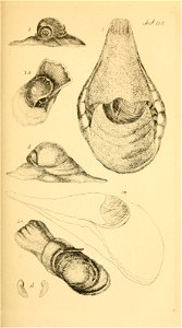 n114_w1150