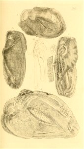 n160_w1150