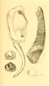 n130_w1150