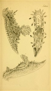 n164_w1150