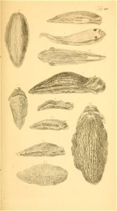 n262_w1150