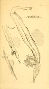 n202_w1150