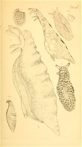 n172_w1150