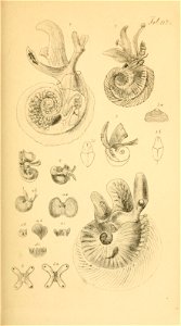 n112_w1150