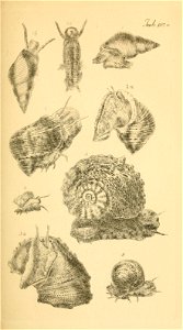 n82_w1150