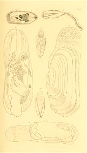 n128_w1150