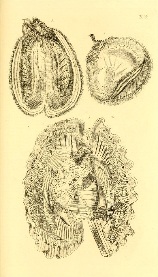 n186_w1150
