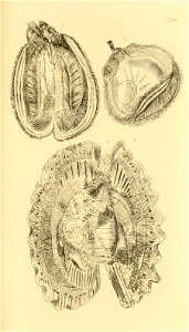 n186_w1150