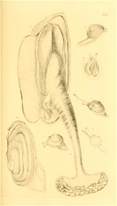 n156_w1150