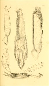 n126_w1150