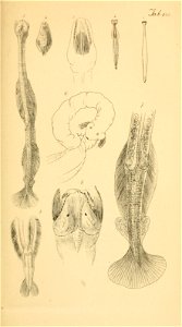 n258_w1150