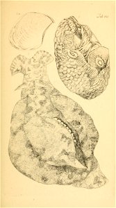 n168_w1150